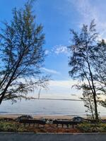 Alvin Liong