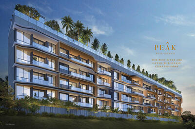  - FREEHOLD UP TO $230K DEV DISC! CCR $2,294PSF, Novena Mrt, 10 mins away from various amenities, Great Investment Opportunity, High Potential Capital Appreciation. - Peak Residence (D11)