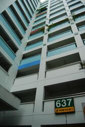 637 Pasir Ris Drive 1