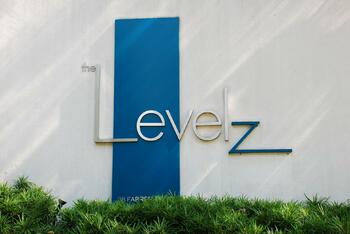 The Levelz