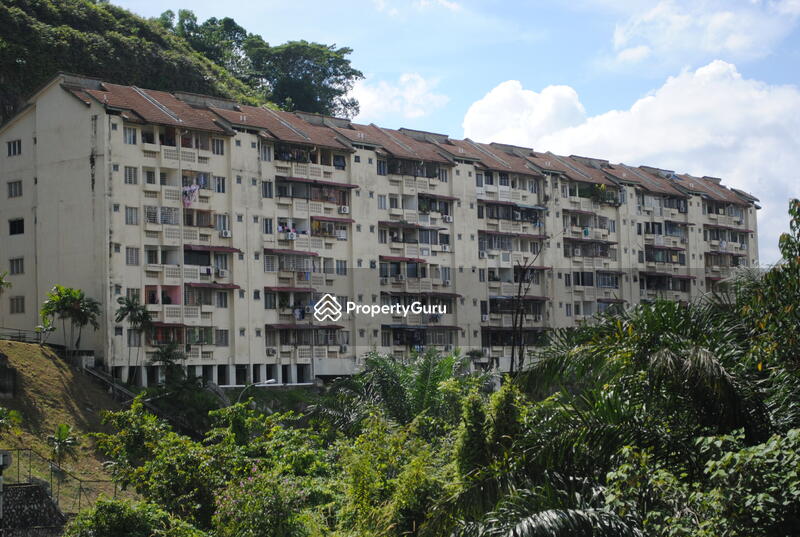 Mutiara Court Bukit Permai Details Condominium For Sale And For Rent Propertyguru Malaysia