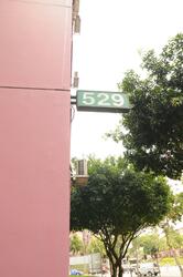 529 Choa Chu Kang Street 51